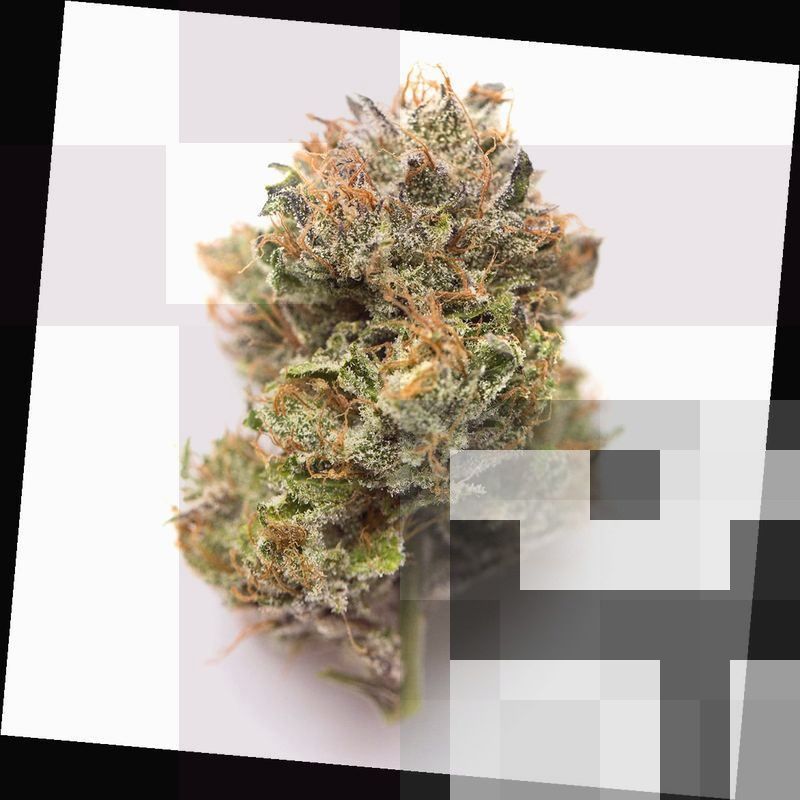 Blue Dream Cannabis Strain DC