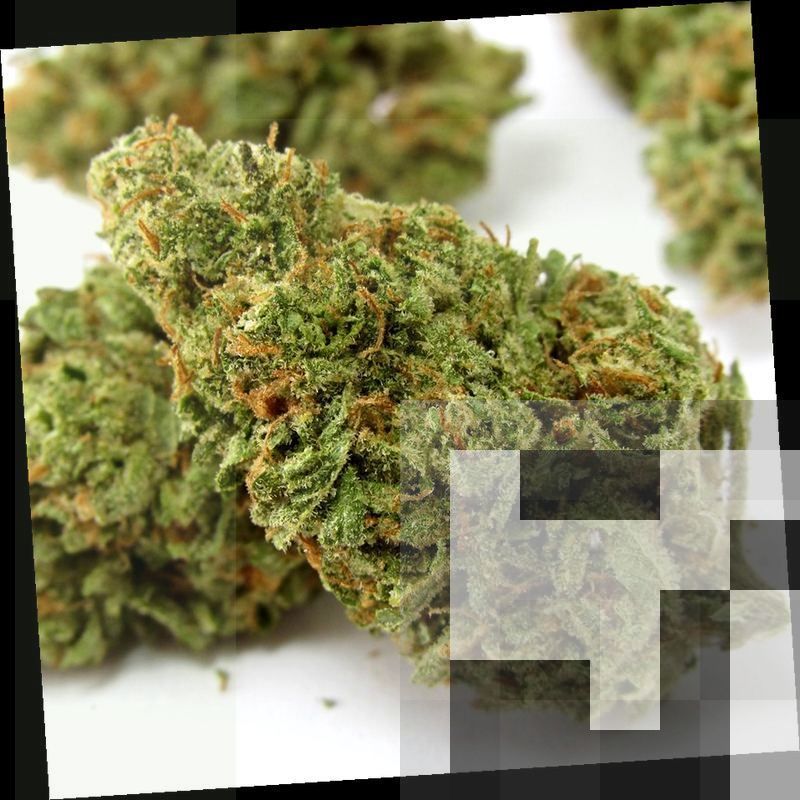 Bruce Banner Cannabis Strain DC