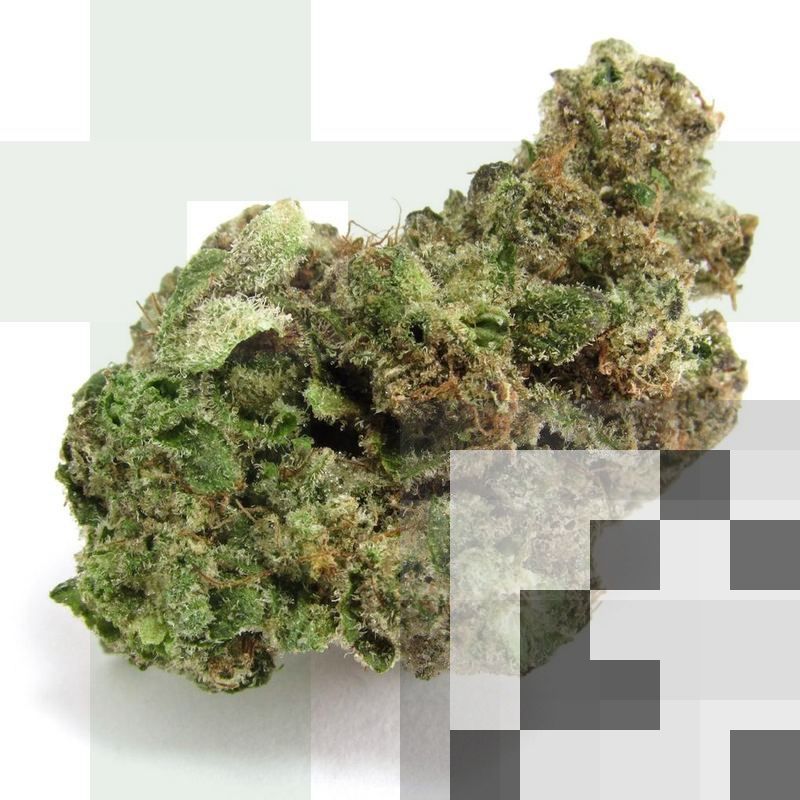 Cereal Milk Cannabis Strain DC