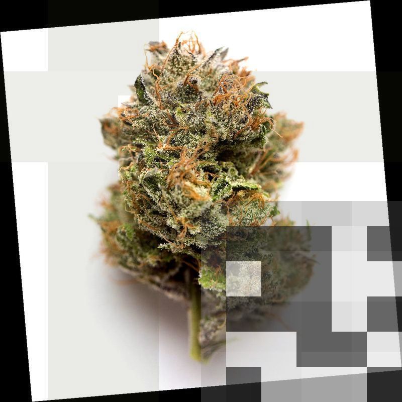 Do-Si-Dos Cannabis Strain DC